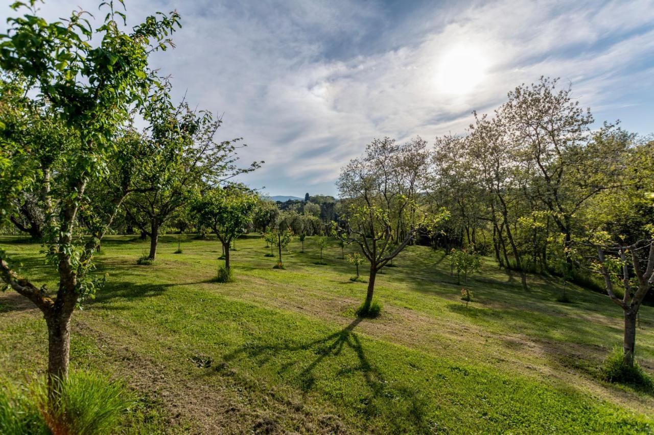 Podere Sant'Antonio Fauglia Kültér fotó