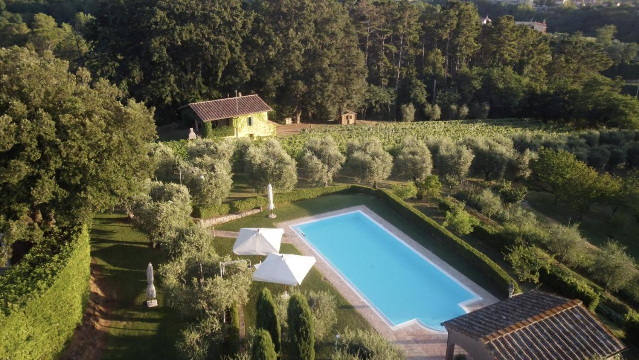 Podere Sant'Antonio Fauglia Kültér fotó