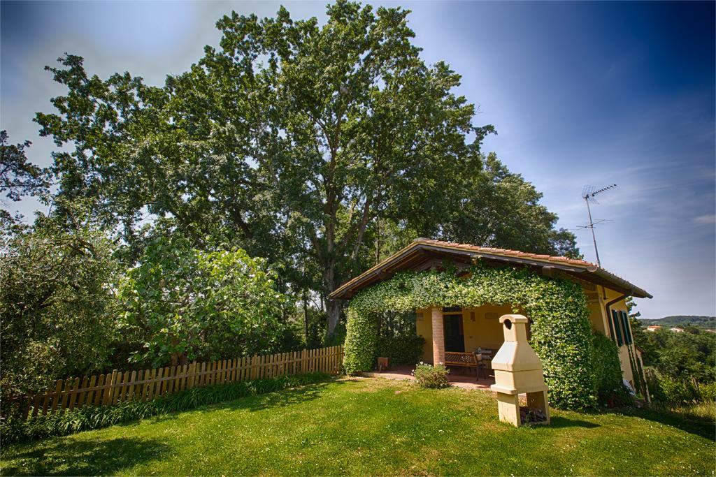 Podere Sant'Antonio Fauglia Kültér fotó