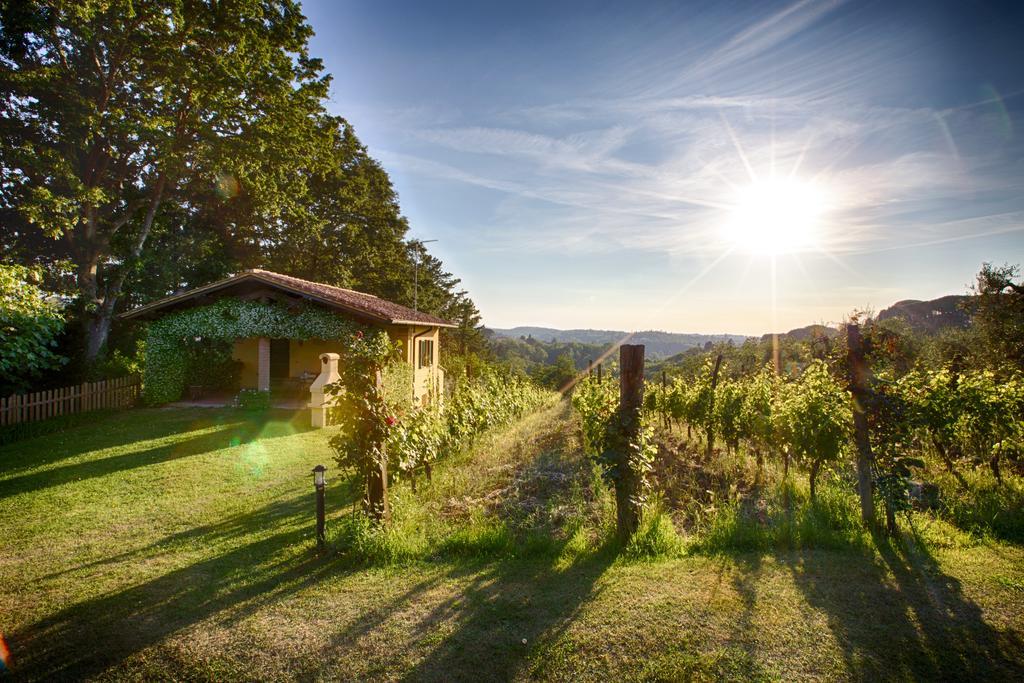Podere Sant'Antonio Fauglia Kültér fotó