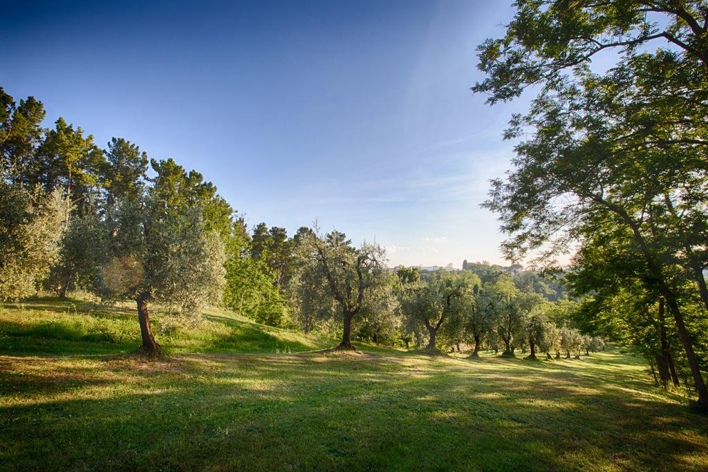 Podere Sant'Antonio Fauglia Kültér fotó